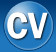 Logo Coachville
